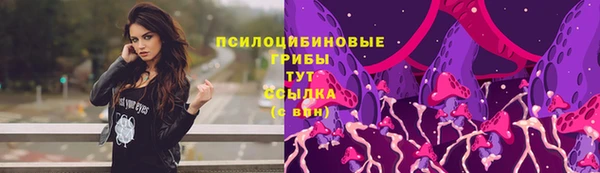 прущие грибы Алзамай